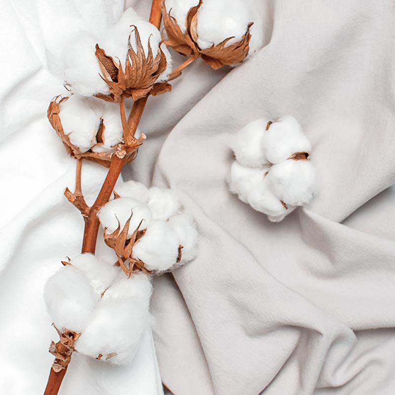 Lorem ipsum dolor sit amet 2 Lorem ipsum dolor sit amet 2